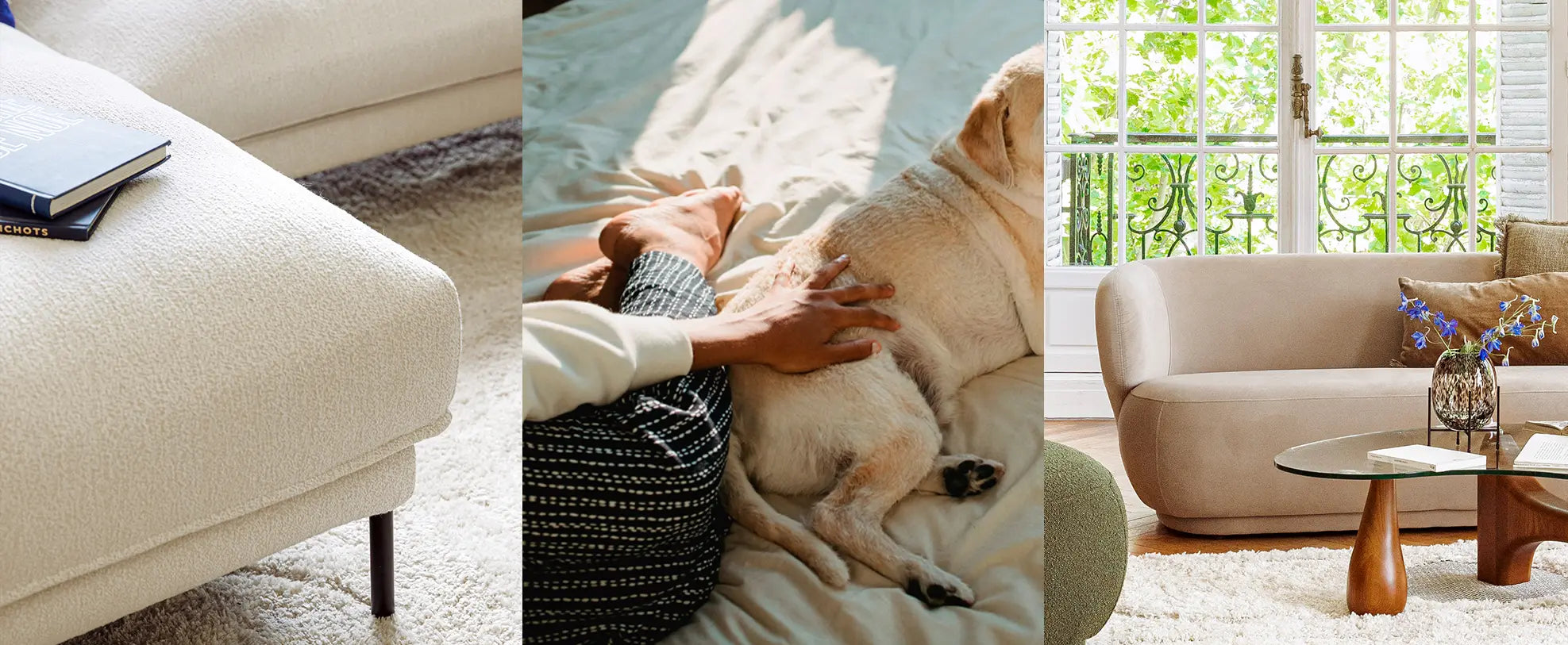 Quel canapé choisir lorsqu'on a des animaux ?