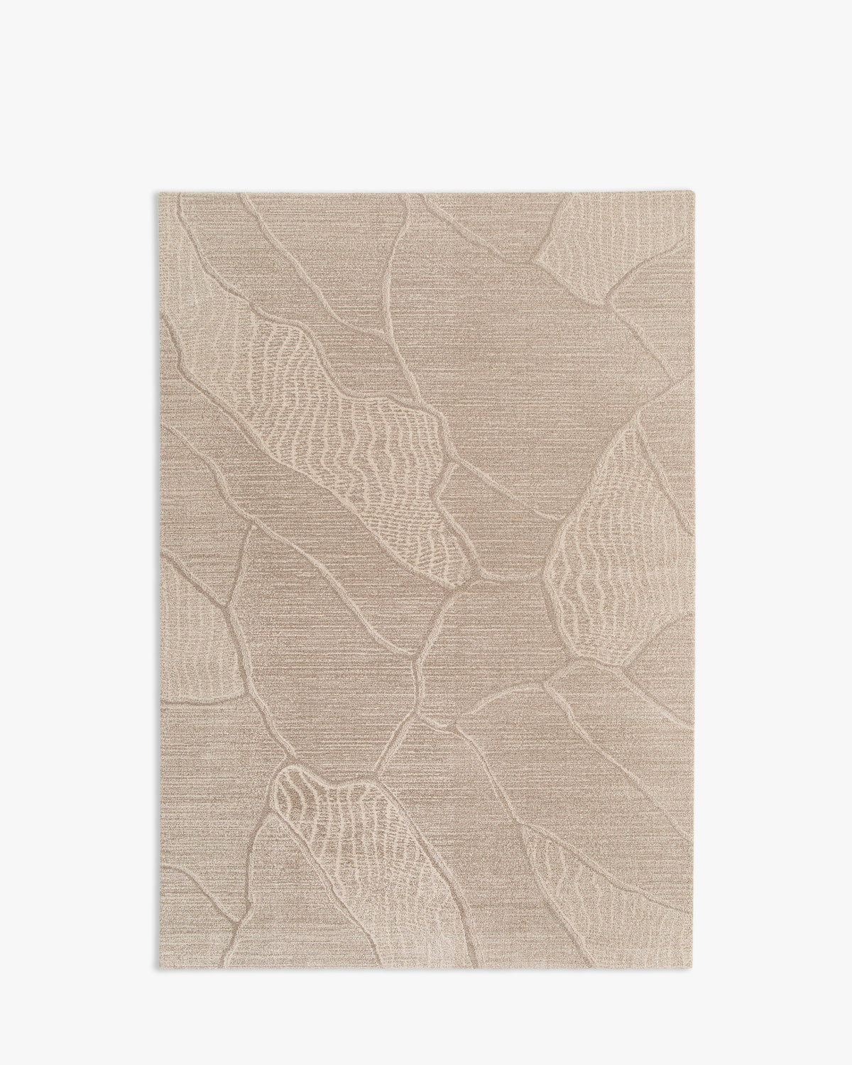tapis de salon Folio petit format beige à feuilles sculptées ton sur ton - vu de dessus