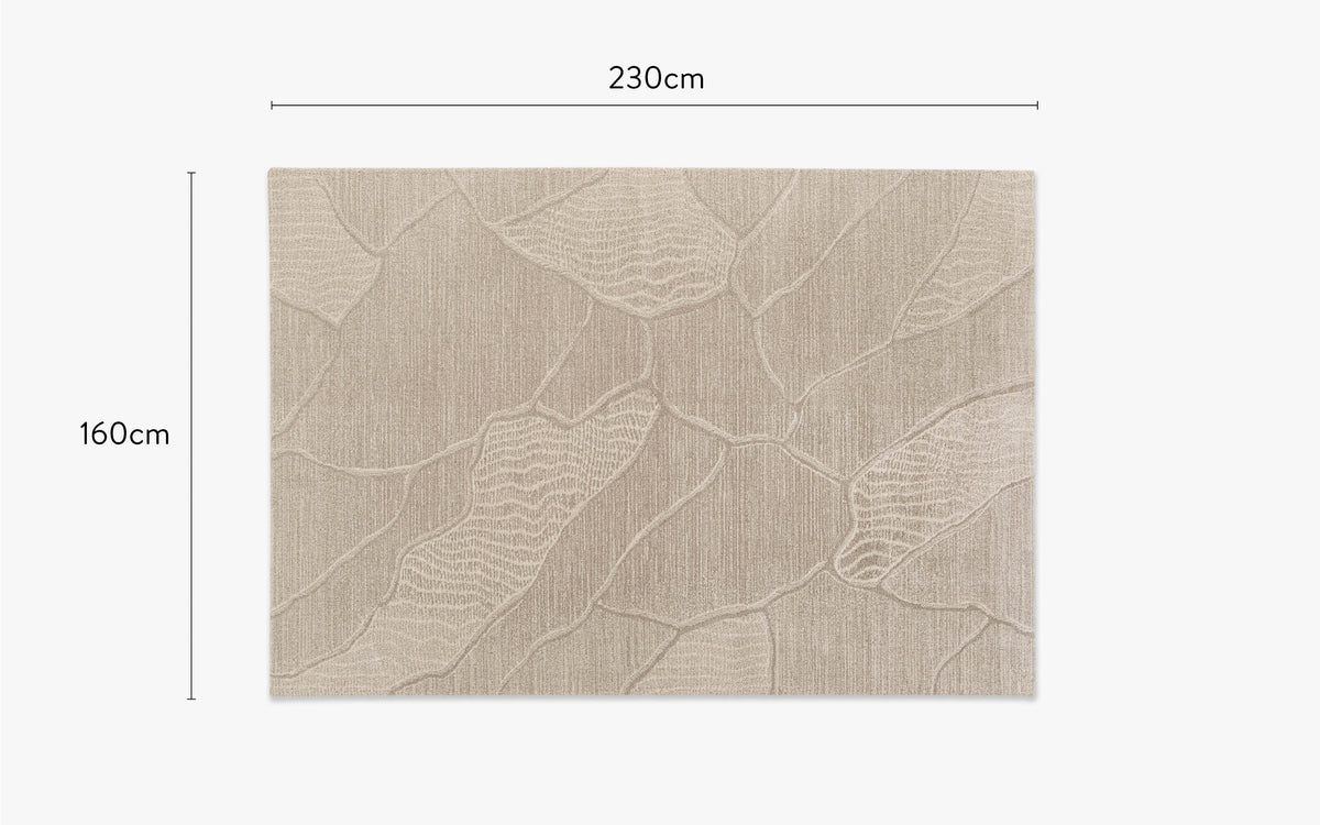 dimensions tapis design folio petit format